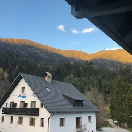 Lägenhet Apartma Anka ***